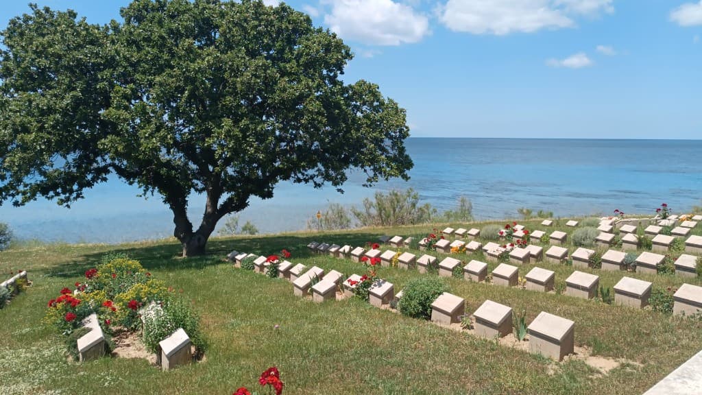 Mémorial des martyrs de Çanakkale avec le drapeau turc 3